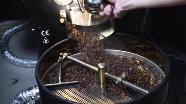 Roaster släpper kaffebönor för kylning efter att han säker på att de har rostat — Stockvideo