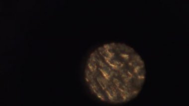 Mikroskobik moleküllerin renkli yakın çekim görüntüleri