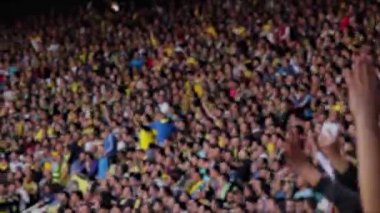 Futbol taraftarları şampiyonluk maçını kazanmak için takımlarını desteklemek için zıplayıp tezahürat yapıyorlar.
