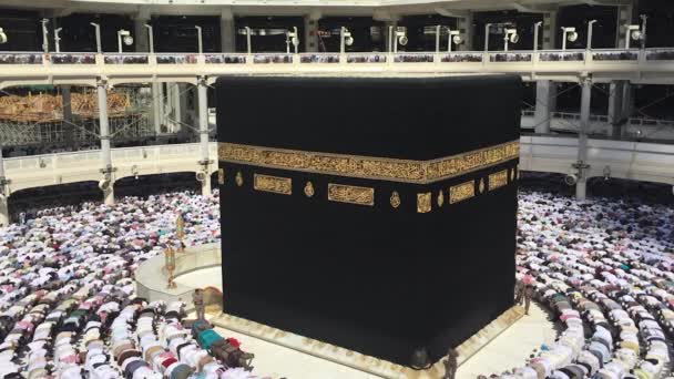 Muçulmanos Estão Orando Oração Jumah Kaaba Doing Sujood — Vídeo de Stock