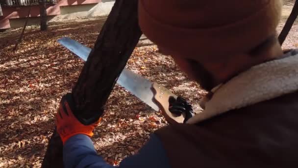 Close Stop Motion Shot Lenhador Cortando Uma Árvore Outono — Vídeo de Stock