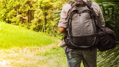 vahşi hikker seyahat