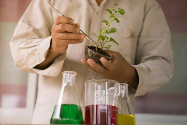 Los agricultores son plantas de análisis —  Fotos de Stock