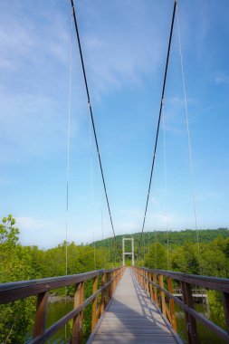 Asma köprü turizm için yürümek için kullanılan.