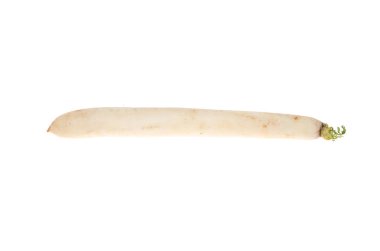 sebze daikon uzun beyaz bir arka plan üzerinde