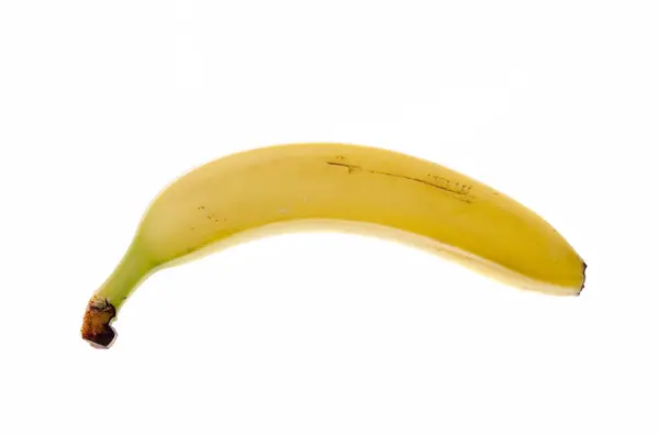在白色背景上的香蕉果实 — 图库照片