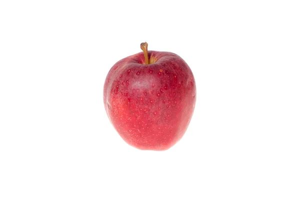 Pomme rouge sur fond blanc — Photo