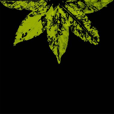 Başta nasılsa yazdırma