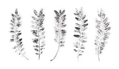 Başta nasılsa yazdırma