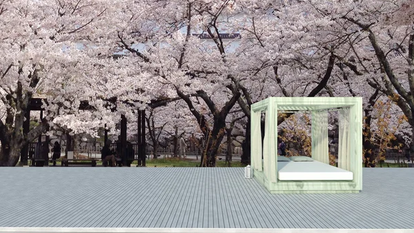 Düğün sakura çiçek bahçesi tatil kış arka plan-3d render ile ahşap zemin üzerinde güneşlenme terası