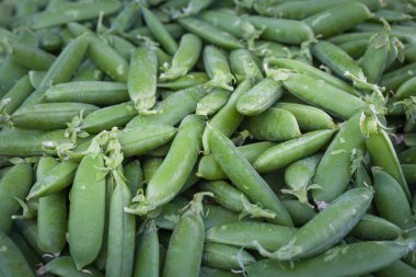 Ahududu içinde belgili tanımlık çarşı