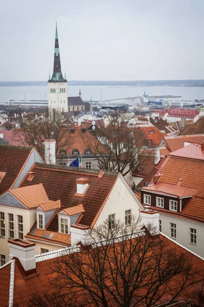 Vista de Tallinn, Estonia — Fotografia de Stock