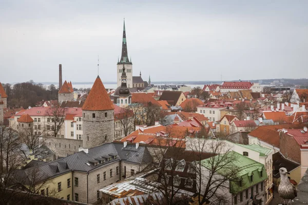 Vista de Tallinn, Estonia — Fotografia de Stock
