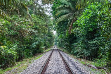 Demiryolu ormanlarda (Panama)