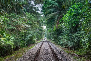 Demiryolu ormanlarda (Panama)