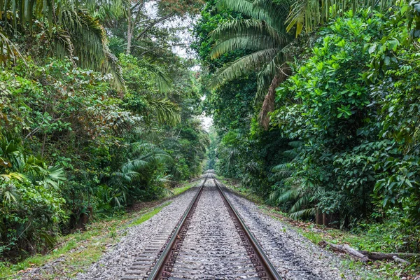 Demiryolu ormanlarda (Panama)