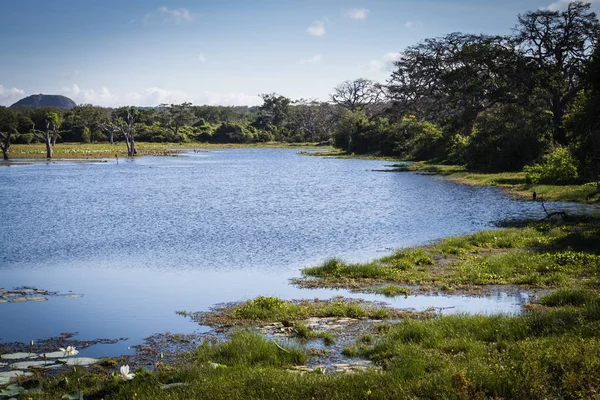 Göl Yala Milli Parkı, Sri Lanka