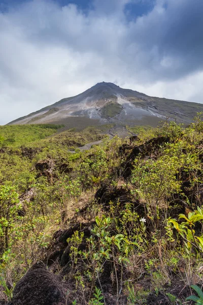 Kosta Rika (güzel manzara Arenal yanardağ)