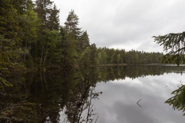 Lahti, Finlandiya için güzel derin orman