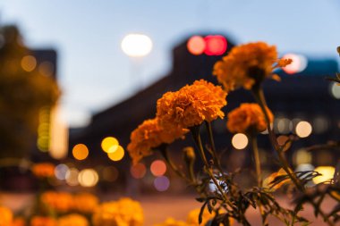 Helsinki street, şehirde yürüyüş