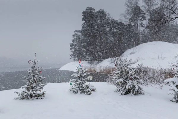 Kış oldukça (Helsinki yatay)