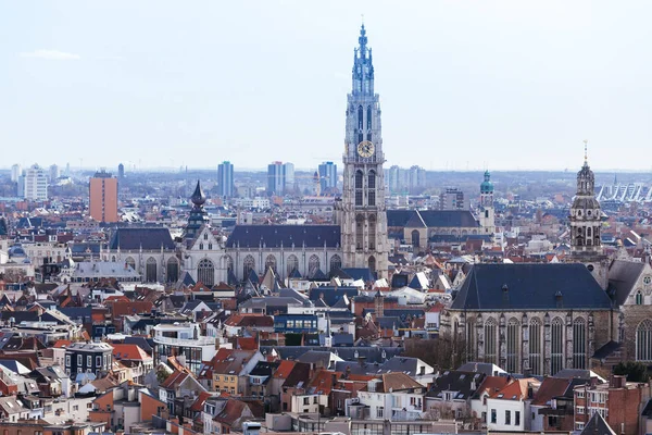 Cathedral of Our Lady, Belçika