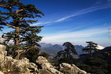 Dağların güzel manzarası
