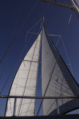 Denizde mavi gökyüzüne karşı beyaz yatlarla yelken aç