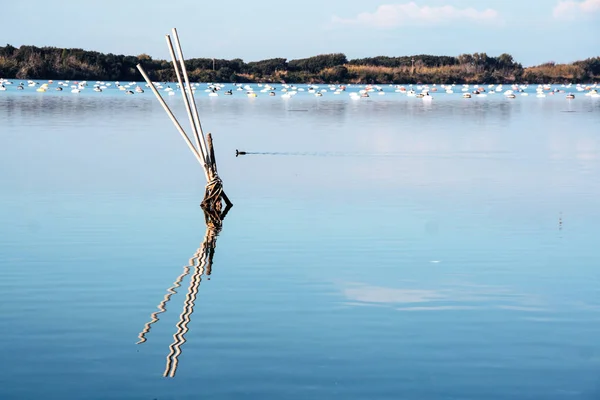 Lago Fusaro en Bacoli — Foto de Stock