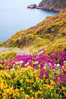 Cap Frehel, France