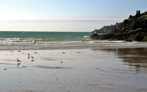 Wide desert sandy beach on the coast of Brittany — Stock Photo, Image