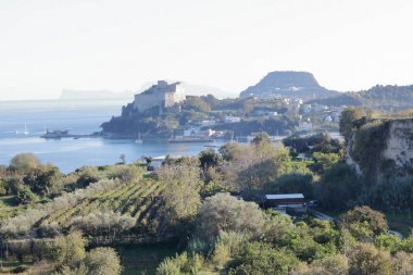 Aragon castle at Baia clipart