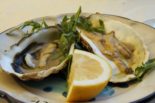 Oysters plate — Stock Photo, Image