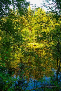 Obersee