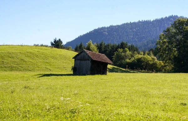 Dřevěná stodola — Stock fotografie