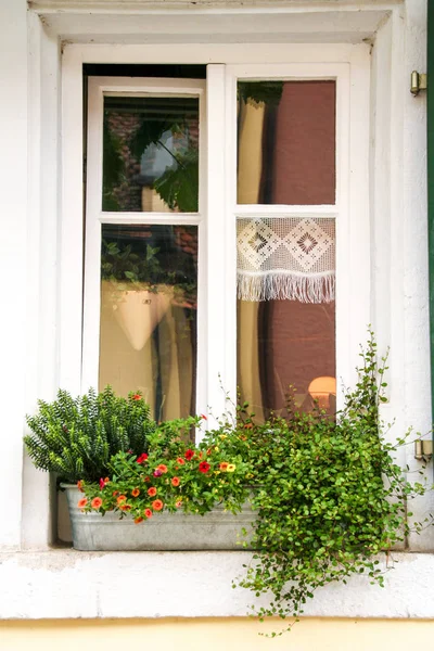 Shabby Chic Rustic Flowered Wooden Window — Stock Photo, Image