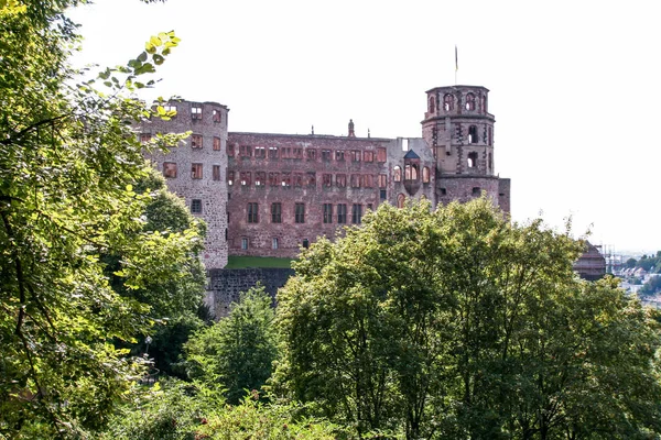 Heidelberský hrad — Stock fotografie