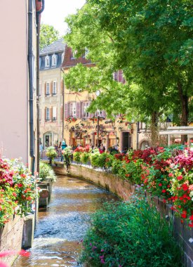 Alsace'deki / daki comlar