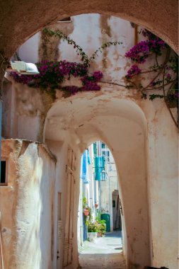 Alleway in Terra Murata  of Procida clipart