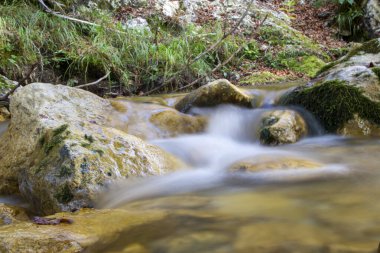 Abruzzo Ulusal Parkı