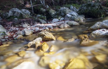 Abruzzo Ulusal Parkı
