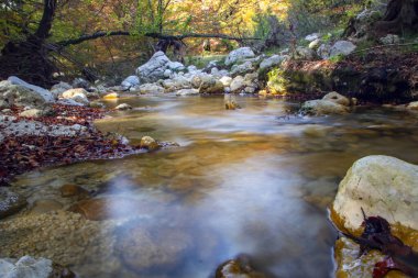 Abruzzo Ulusal Parkı