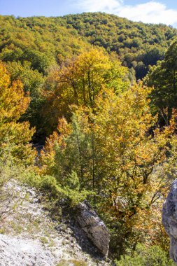 Abruzzo Ulusal Parkı