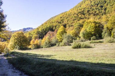 Abruzzo Ulusal Parkı