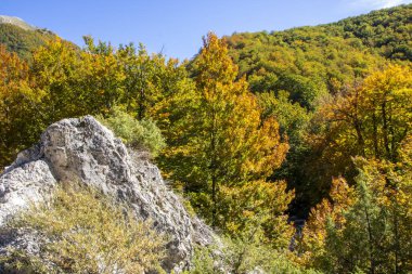 Abruzzo Ulusal Parkı