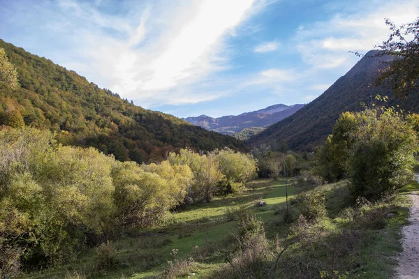 Abruzzo Ulusal Parkı