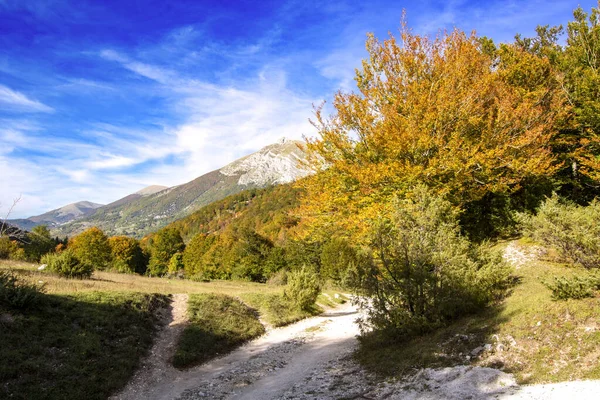 Abruzzo Ulusal Parkı