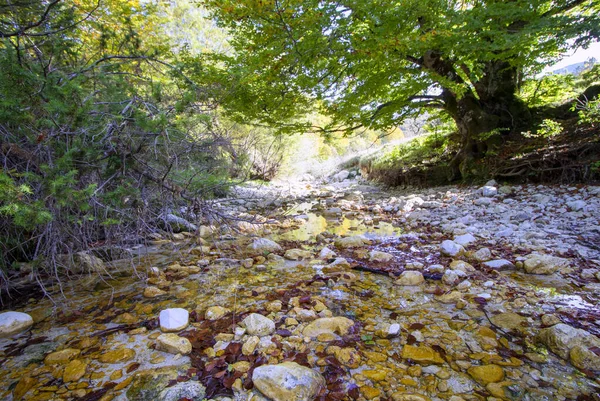 Parque nacional de abruzzo — Fotografia de Stock