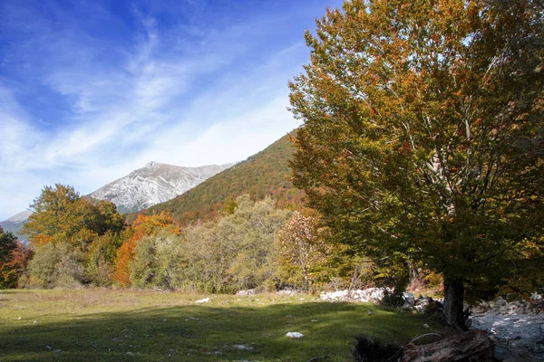 Abruzzo national park — Stock Photo, Image