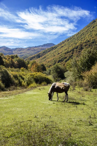 Abruzzen Nationaalpark — Stockfoto
